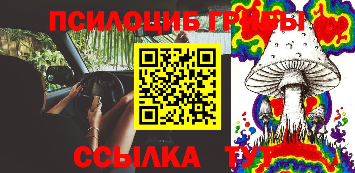 Псилоцибиновые грибы мицелий  Галлюциногенные грибы MAGIC MUSHROOMS  Северобайкальск  Вход с VPN 